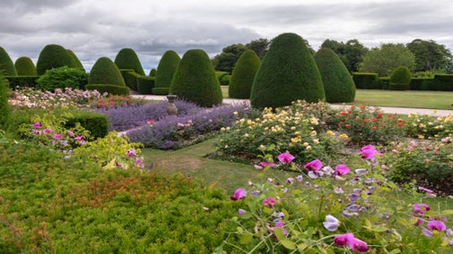 The beautiful array of roses at Chirk Castle